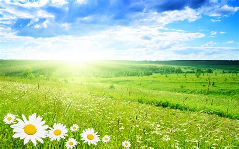 Spring Shiny Nature Download Hd Wallpapers And Free Images