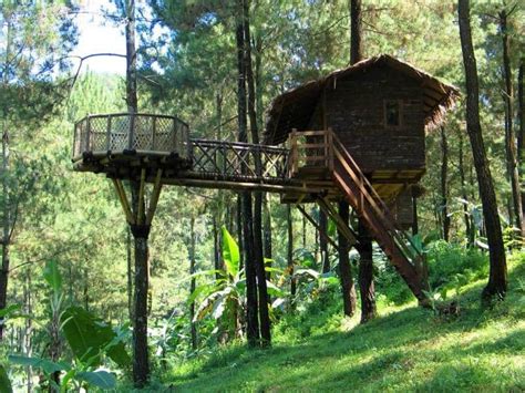 penginapan rumah pohon  unik  nyaman  indonesia