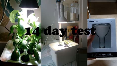 Maybe you would like to learn more about one of these? Growing Basil with IKEA's 10w grow light - YouTube