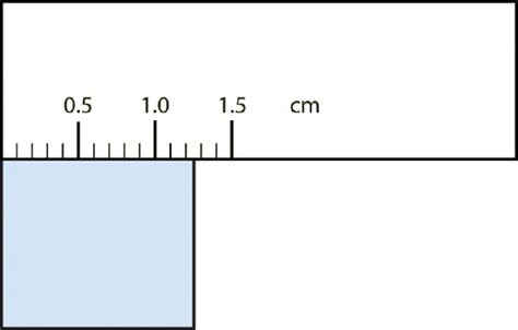 Actual Size Millimeter Ruler Ruler Cm Free Printable Paper For