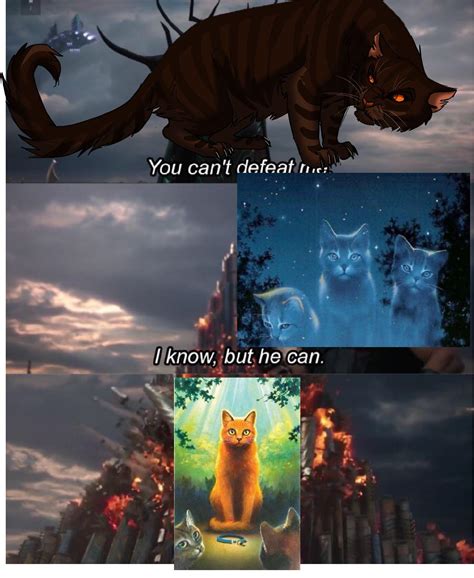 Just Made Warrior Cats Meme Rwarriorcats