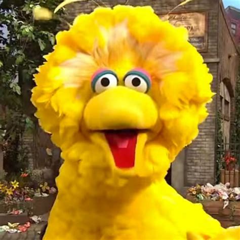 Big Bird Rapping Still Not A Player Is Everything E Online