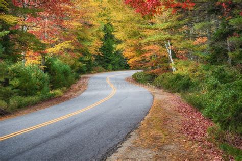Winding Road Curves Through Autumn Foliage Trees In New England Stock