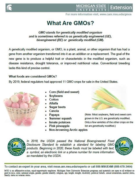What Are Gmos Agriculture