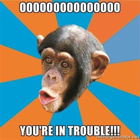 17 Best Changitos Images On Pinterest Monkeys Funny