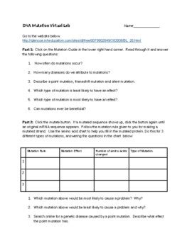 In this lesson, the focus will be on highlighting the unique values and characteristics of american. Mutation Virtual Lab Worksheet Answers / By the way, related with answers to mutations worksheet ...