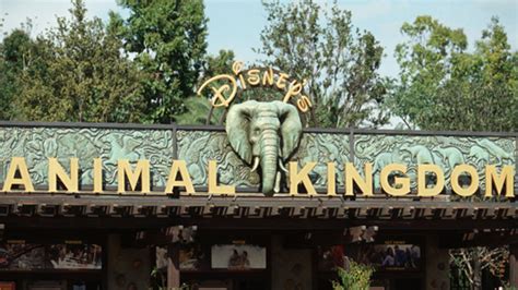 Джон уэллс, дэйв родригез, кристофер чулак. 15 Fun Facts About Disney's Animal Kingdom | Mental Floss