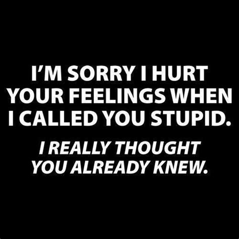 Tve decided 40 adj ilex4ensiye experience in dealing wi4h s4upjd peop)ell 40 my resume. Funny Quotes About Emotions. QuotesGram