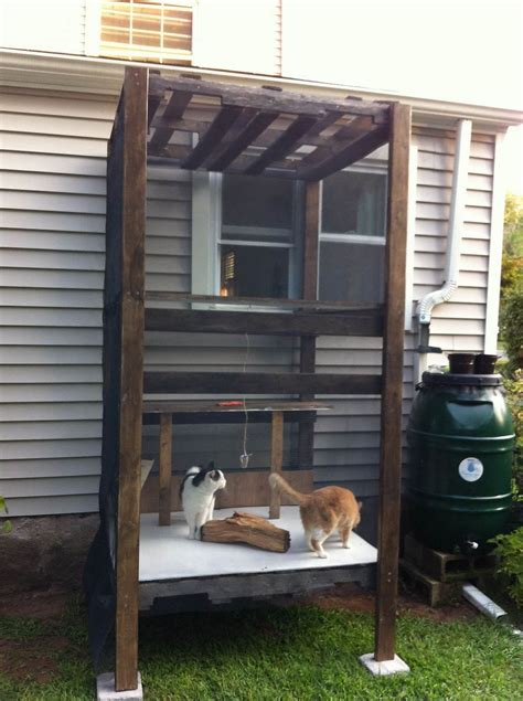 Considering getting a cat enclosure for your kitty? Image result for Affordable Outdoor Cat Enclosures (With ...