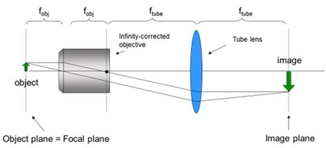 Lenses And Optics