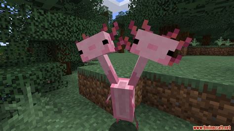 How To Train An Axolotl In Minecraft Mudfooted