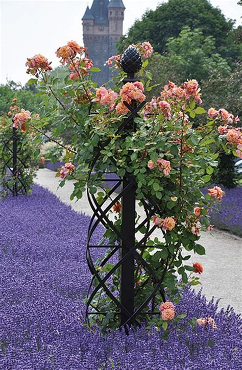 Designed to help your plants. These Metal Garden Trellises are Beautiful With or Without Plants | Garden | Enredadera de rosas ...