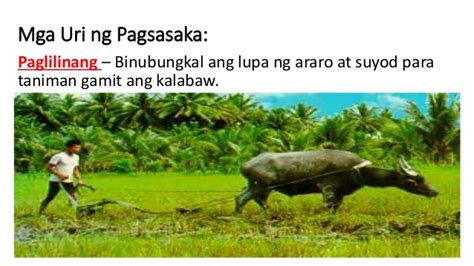 Kabihasnang ehipto o egyptian civilization. Mga likas na yaman at hanapbuhay ng mga