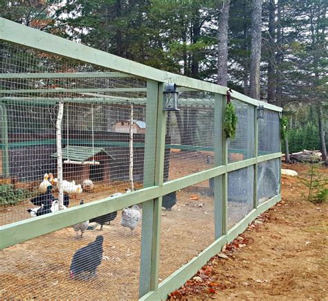 How To Build A Chicken Run Building A Chicken Run Chicken Fence