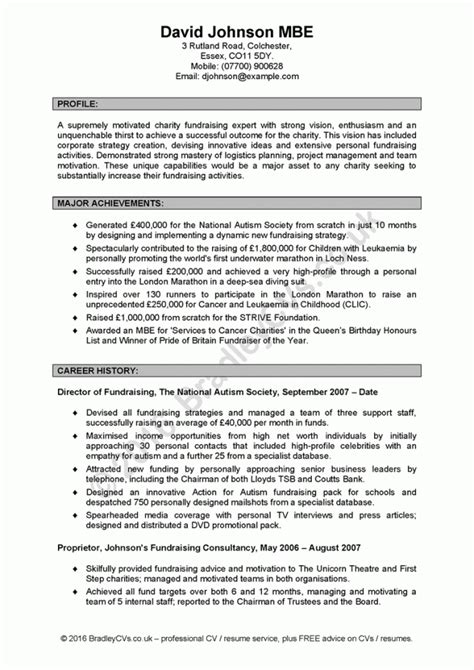 Resume Personal Statement Examples Free Letter Templates