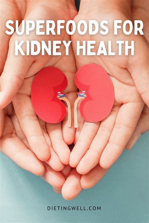 There Are Steps You Can Take To Keep Your Kidneys Healthy Including