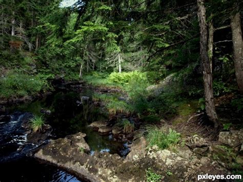 Our character (played by you) will go on a walk in the near forest, thinking that he knows everything about that place but it is quite sure that he loses his. Deep in the Forest picture, by sassySue for: mystic woods ...
