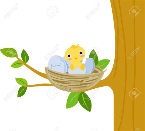 Nestling Clipart 20 Free Cliparts Download Images On