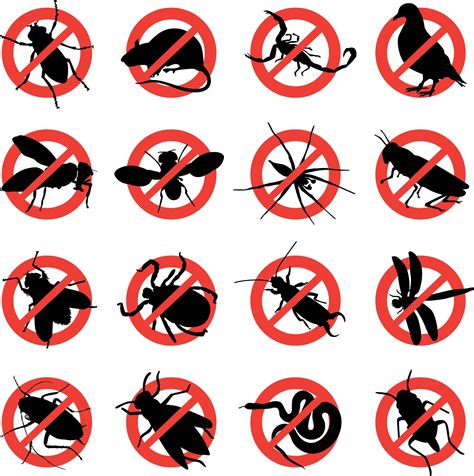 Is pest exclusion worth it? The Advantage of Choosing Quality Professional Pest ...