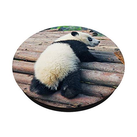 Panda Baby Popsockets Popgrip Ausziehbarer Sockel Und Griff Für Handys