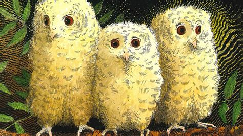 Cbeebies Radio Story Time Owl Babies