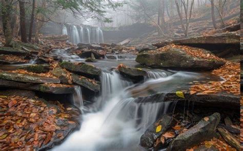 Morning Mist Waterfall Leaves Forest Pennsylvania