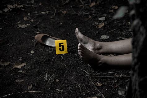 Gruesome Crime Scene Pictures Pictures Stock Photos Pictures And Royalty