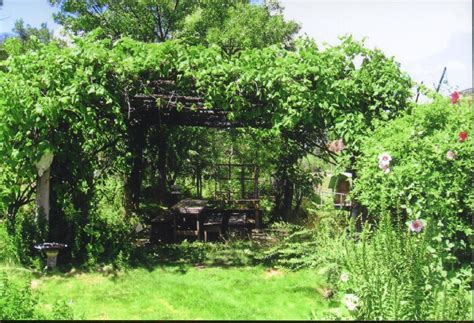 Its construction, planting of the grape vines, pruning, harvesting and utilizing the fruit help each member learn more about our environment and nature's way of growing things. Arbor Grape | Arbor Tool Galleries