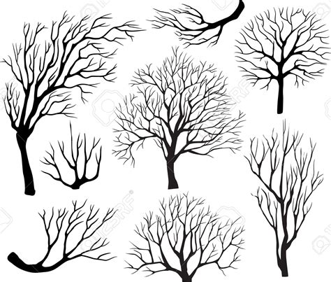 Set Of Silhouettes Of Trees Royalty Free Cliparts Vectors And Stock