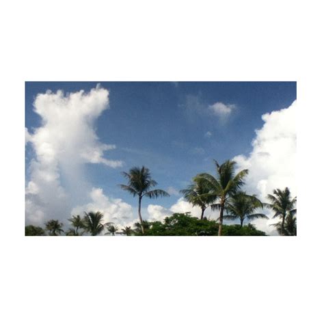 Guam Sky Clouds Island Palm Trees Coconut Trees Blue Photography Pretty