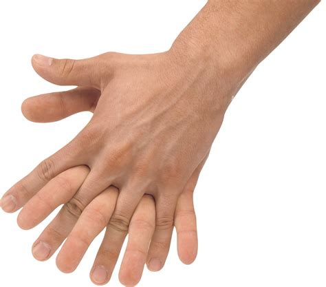 Realistic Hand Png