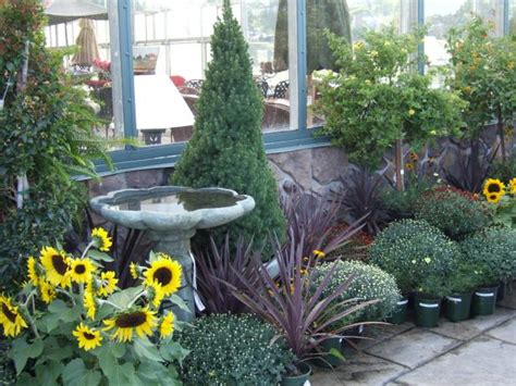 These beds should match (or at least align with) the beds at the front of your house. 10 Ways To Use Versatile Dwarf Alberta Spruce In the ...