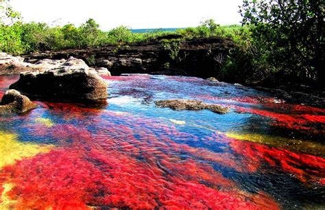 Caño Cristales O Rio Colorido Da Colômbia Lugares Fantásticos