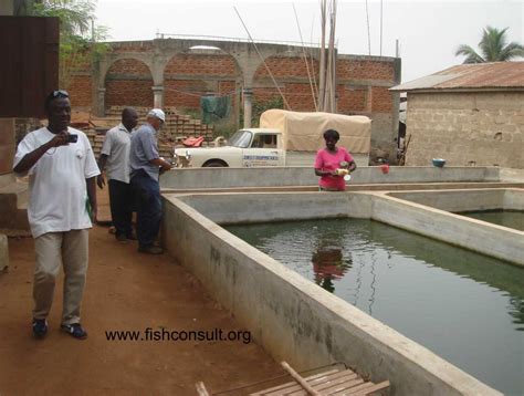 Fish farming means raising fish commercially in tanks, ponds or other. Features of fish farming in Benin (facilities and species ...