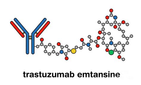 Trastuzumab Emtansine Antibody Drug Conjugate Molecule Photograph By Molekuul Science Photo Library