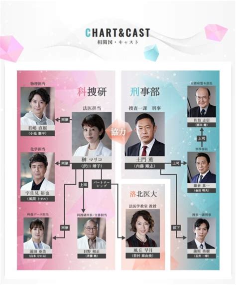 科捜研の女 第23シーズン ネタバレあらすじ第7話とキャストや相関図など オーランドヒノスの夢工房