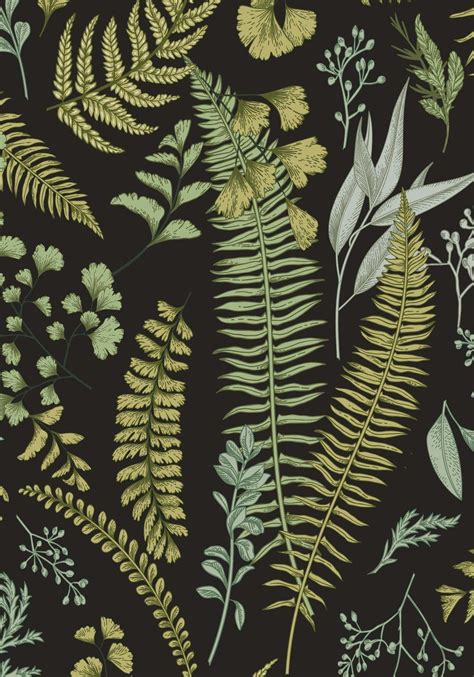 Botanical Wallpapers Top Free Botanical Backgrounds Wallpaperaccess