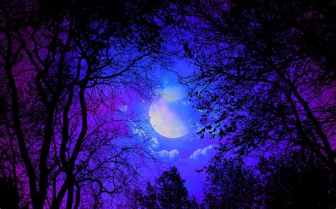 Dark Forest Moon Wallpaper