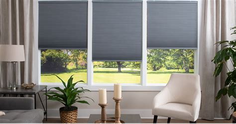 Blinds And Window Shades