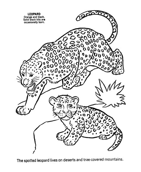 Leopard Coloring Pages Best Coloring Pages For Kids