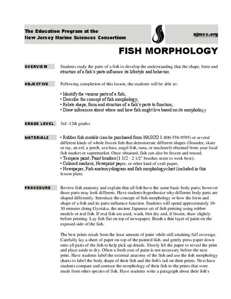 Fish Morphology Lesson Plan For 3rd 12th Grade Lesson Planet