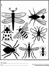 Coloring Pages Bug Print Insect Bugs Insects Printable Color Preschool Kids Printables Sheets Cartoon Outline Activity Lightning Drawings Colorings Silhouette sketch template