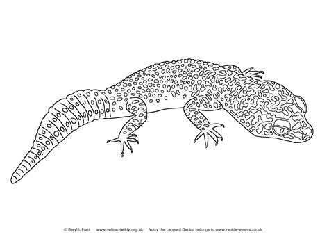 Crested Gecko Coloring Page Thekidsworksheet