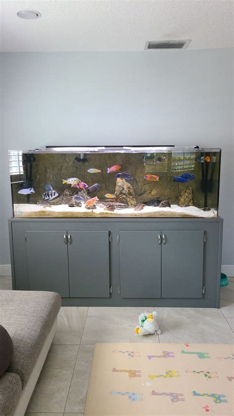 180 Gallon Acrylic Fish Tank Aquarium For Sale In Fort Lauderdale Fl
