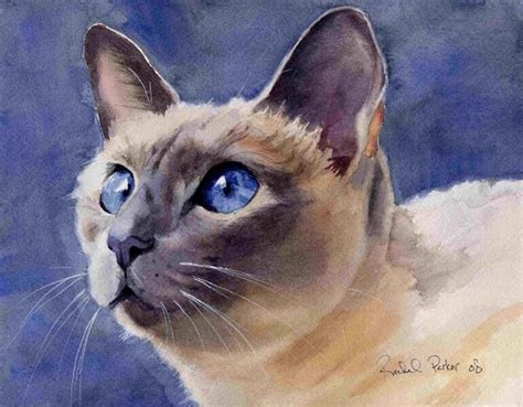 Giclee Print Of Siamese Cat Art Watercolor Painting