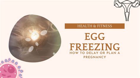 Egg Freezing How To Delay Or Plan A Pregnancy 2024