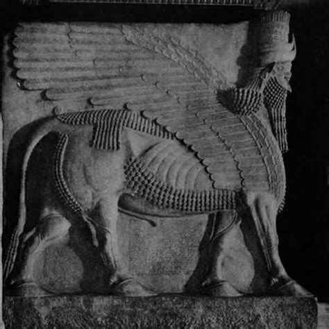 Winged Bull Lamassu From Sargon Ii S Citadel