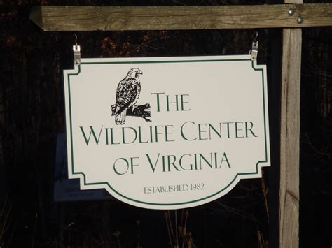 Seriously One Of The Greatest Places To Ever Work Wildlife Center Of