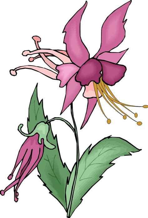Wildflower Clip Art Clipart Best
