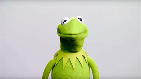 New Kermit The Frog Voice Debuts Hollywood Reporter